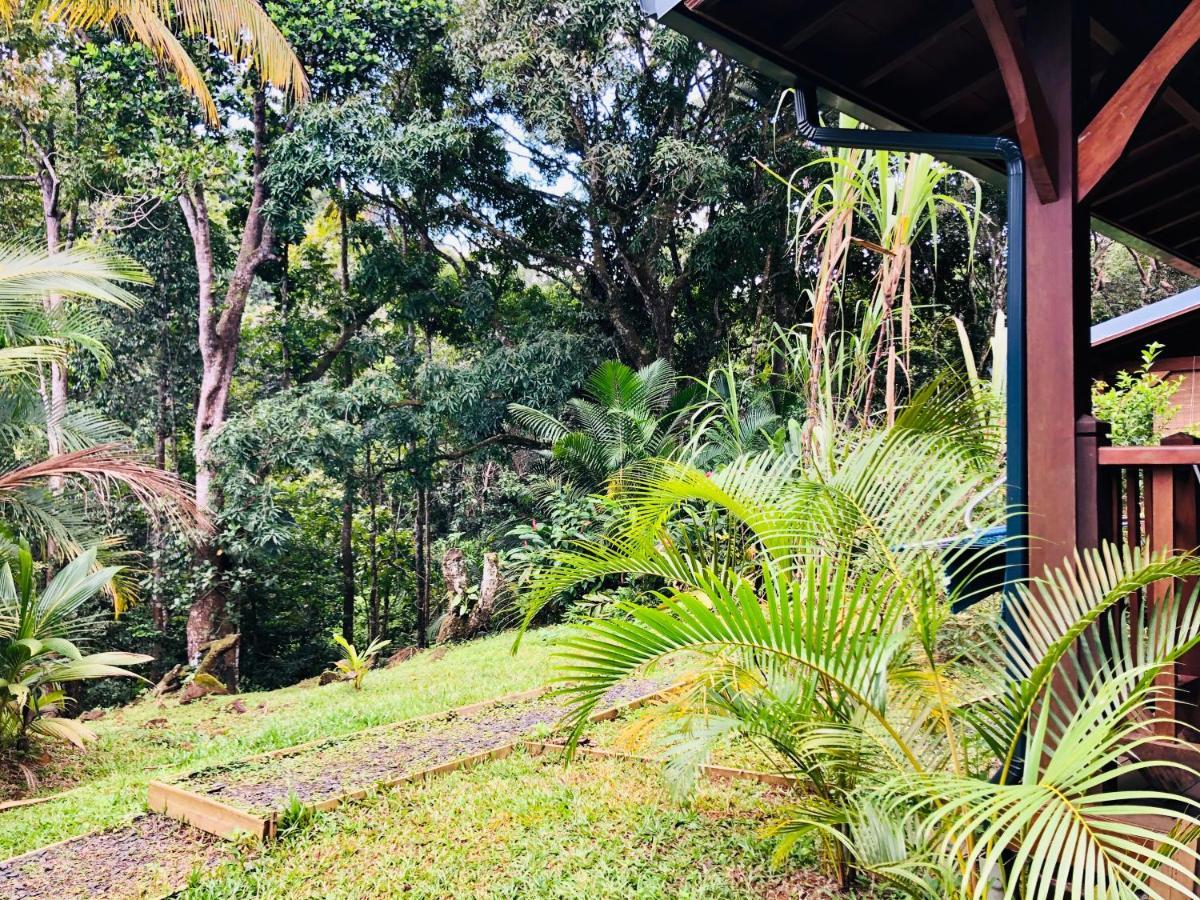 Gwada Natura Ecolodges & Spa Sainte-Rose Ngoại thất bức ảnh